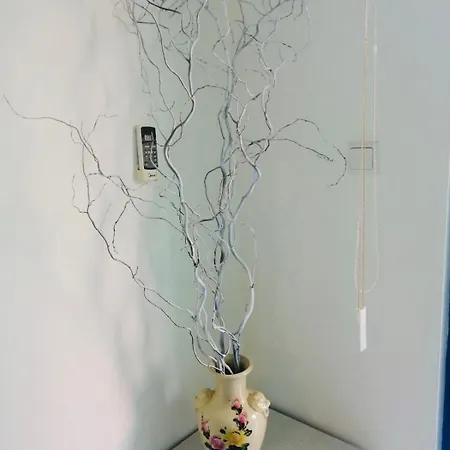 Jasmine A17 Cozy Sunny